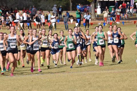 The Lady Lions finished fifth as a team, which was four places better than the team placed last season.