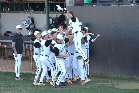The Franklin County Lions celebrate after a home run by Easton Gailey Friday against Hebron Christian. The Lions will travel to Blairsville Friday for the first round of the state playoffs against Union County. (Photo by Shane Scoggins)