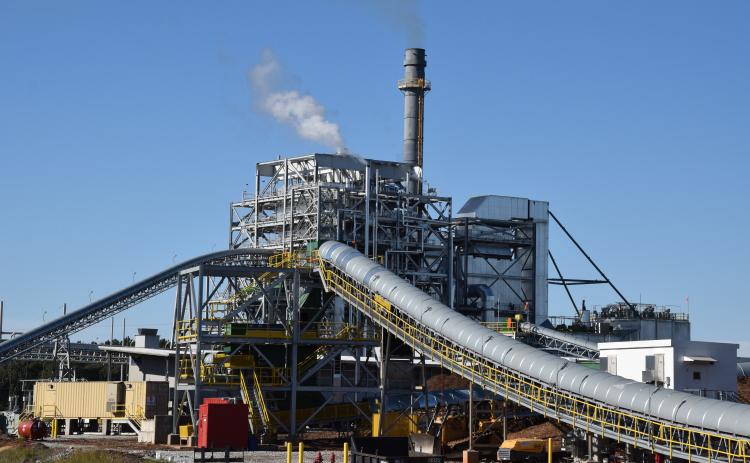 Franklin County Commissioners declared the Georgia Renewable Power plant near Carnesville  a public nuisance Tuesday and will take its case to Magistrate Court.