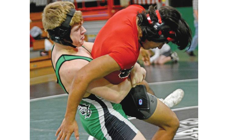 Lion wrestler Will Ballenger takes down an opponent in a match earlier this season. The Lions will compete Saturday in the state duals wrestling prelims in Rockmart.