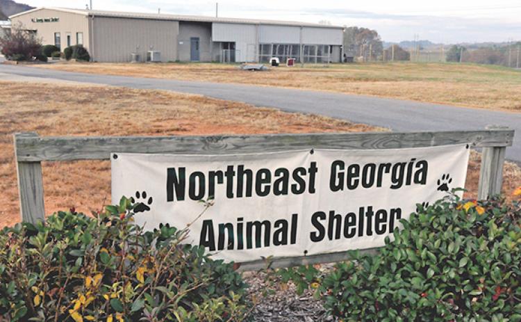 Donations may be made at northeastgeorgiaanimalshelter.org.