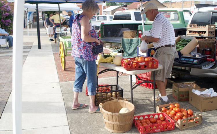 Some farmers use green houses to grow produce sold at farmers markets in Lavonia and Royston each year, while others just bring the excess from their gardens. (Photo by Raese)