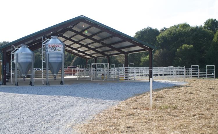The large animal barn includes cattle pens with attached runs and a practice arena.