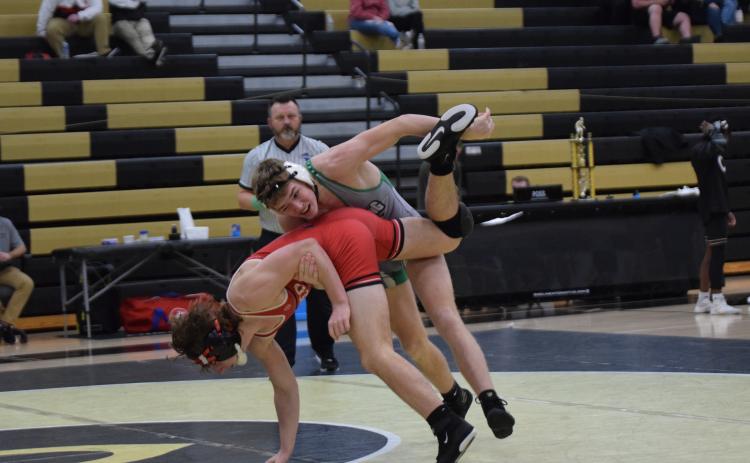 The Franklin County Lion wrestling team will return to action Jan. 6 at Oconee County for the Area 8AAA Duals Tournament.