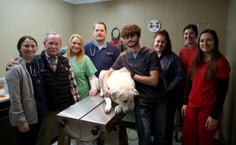Dr. Patrick Hitchcock and Lavonia Animal Hospital will celebrate 50 years in business in 2024.