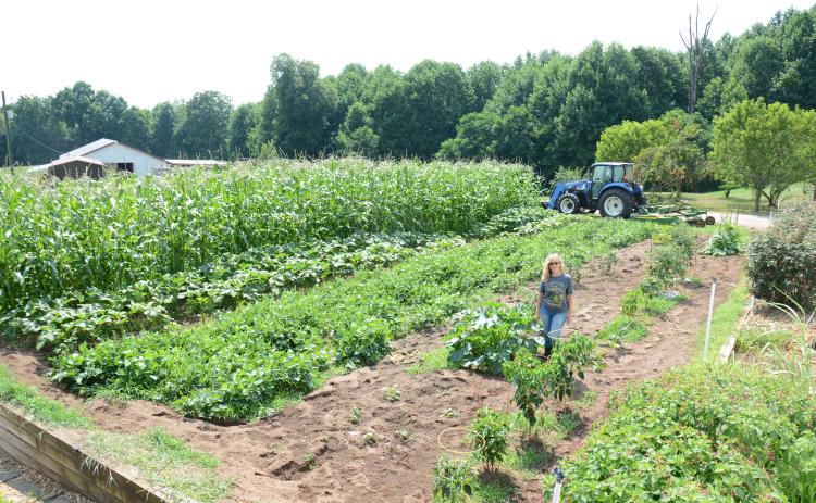 Connie Cowart says she caught the gardening bug from her grandfather who continued growing things well into his 80’s. This week she was pleased to see that her silver queen corn has finally shown signs of silk on the ears. Cowart and other Franklin County gardeners shared their stories in light of “National Weed Your Garden Day” last week.