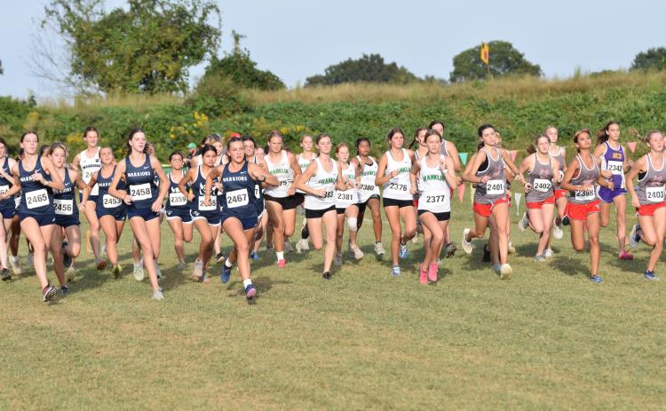 MileSplit Georgia, the leading website for track and cross country in the state, likes the Franklin County Lions and Lady Lions a lot.