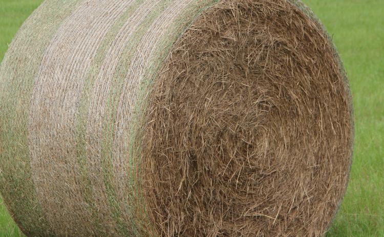 The Georgia Farm Bureau is accepting entries of dry Bermudagrass hay until Oct. 31 for its 2024 Quality Hay Contest.