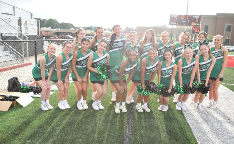 The Franklin County football sideline cheerleaders will bring some new ideas to the field this season.