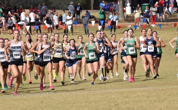 The Lady Lions finished fifth as a team, which was four places better than the team placed last season.