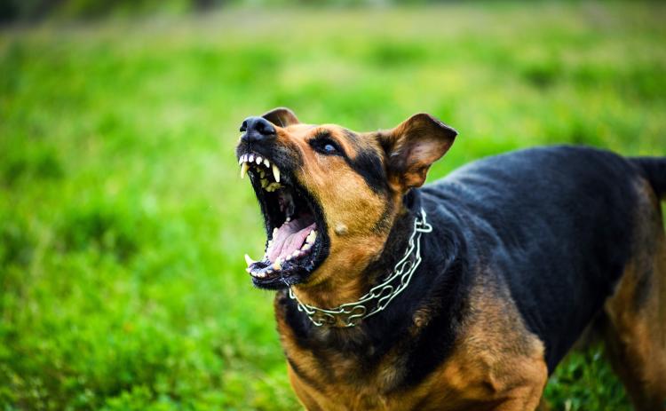 A Franklin County Animal Control Ordinance gained final, unanimous, approval Monday night.
