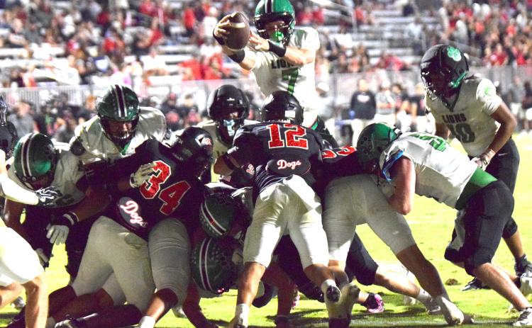 Quarterback Knox Whitworth jumps over a pile at the line of scrimmage for a touchdown Friday night against Morgan County in Madison. Whitworth had two rushing touchdowns and threw three touchdown passes for the Lions. (Photos by Shane Scoggins)