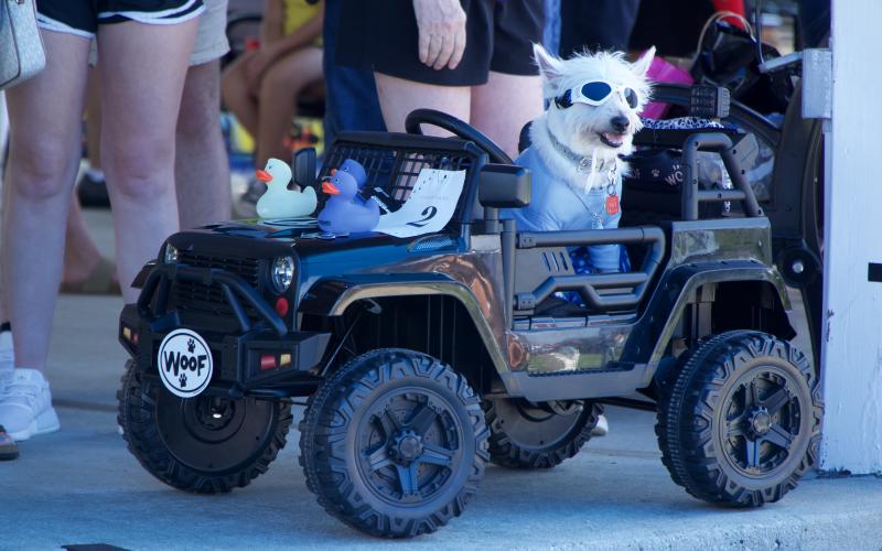 The Lavonia Chamber of Commerce held a Jeep Pet Fest Saturday in downtown Lavonia. The event included a jeep parade, vendors and a pet costume contest hosted by Peachy Paws at the Gazebo.