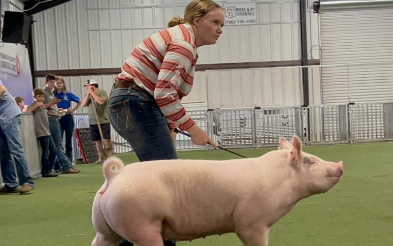 Allie Oliver is a first-year pig showman. She earned her first belt buckle at the Franklin County Livestock Show with a win in Novice Showmanship.