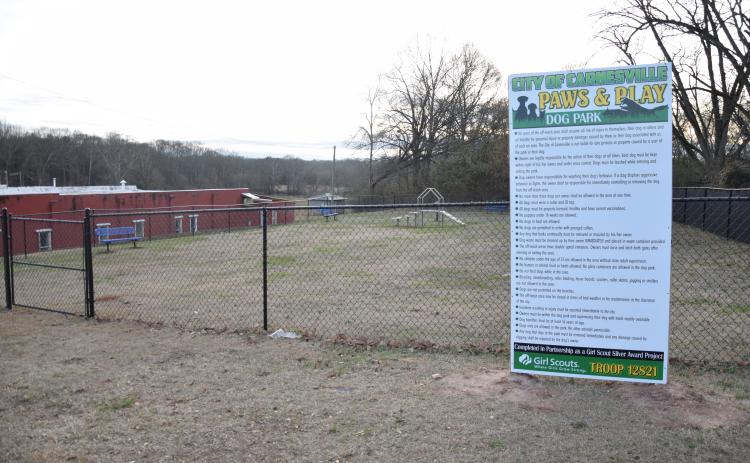 The Paws and Play Dog Park in Carnesville is ready to welcome canines and their owners. The park will be dedicated Saturday.